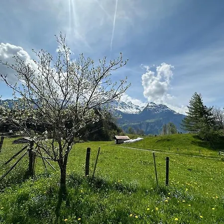 3-bedrooms In A Apartman Meiringen