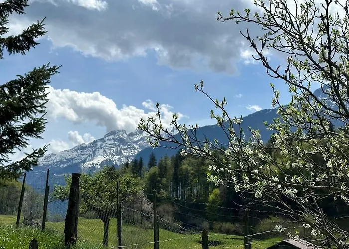 Lejlighed 3-bedrooms In A Meiringen