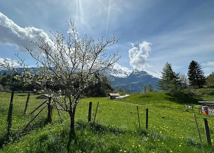3-bedrooms In A 公寓 迈林根
